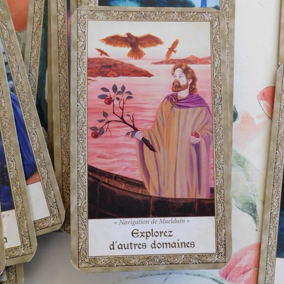🔮 Oracle Deck in FRENCH 🔮 - Picture 4 of 9